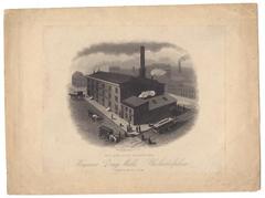  Hagner's Drug Mills