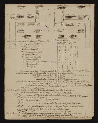 Thomas Jefferson draught of garden plan and key to plants