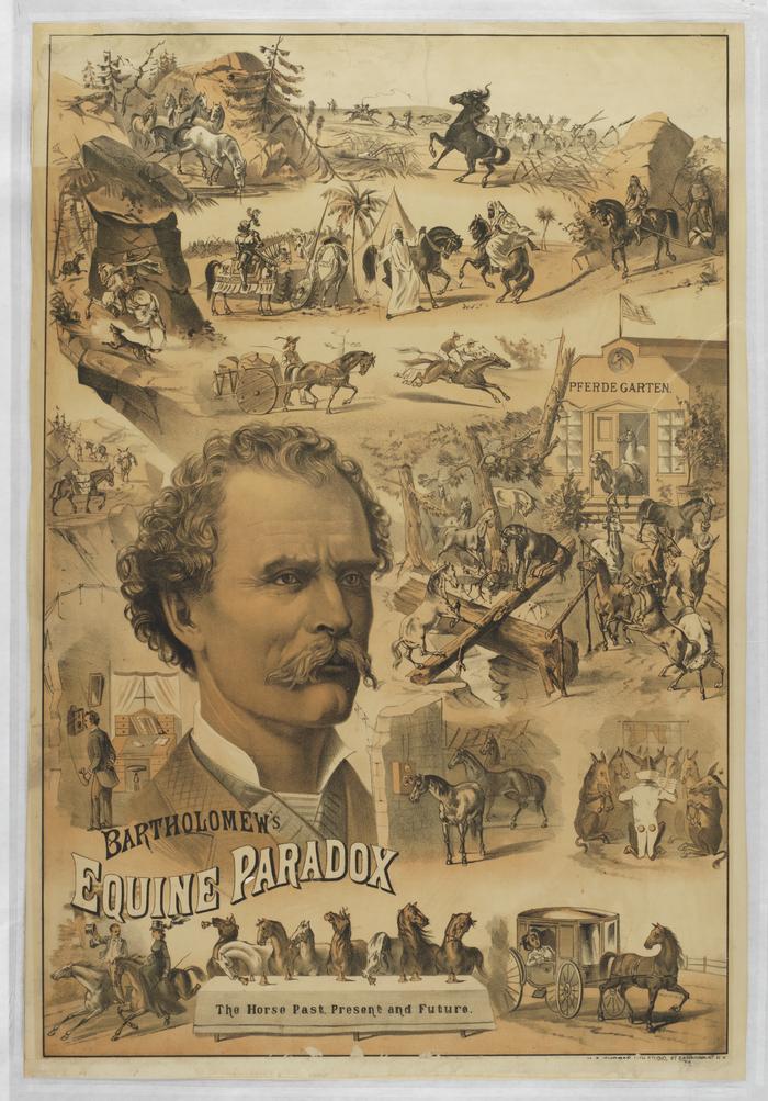 Bartholomew’s Equine Paradox, The Horse Past, Present, and Future theatrical poster, 1880