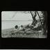 Lantern and Lens Gild of Women Photographers glass lantern slides, 1928-1953 [1 of 2]