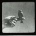 Lantern and Lens Gild of Women Photographers glass lantern slides, 1928-1953 [1 of 2]