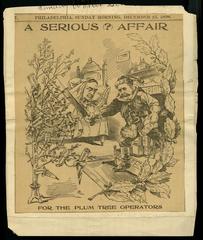 A Serious Affair for the Plum Tree Operators political cartoon, 1898