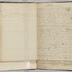 James Fenimore Cooper original manuscript fragments of Home as Found, 1838