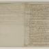 United States Constitution first manuscript draft by James Wilson, 1787