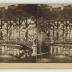 The Great Central Fair, stereoscope images