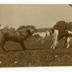 Fenton and Remak families' pets and companions photographs, circa 1910