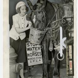 Celebrating 31st anniversary of WPSPCA horse watering stations photograph, 1939
