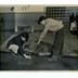 Sanitation Campaign photographs, 1948-1954
