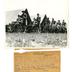 Gettysburg 75th anniversary reunion documents, 1938