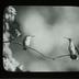 Lantern and Lens Guild of Women Photographers glass lantern slides, 1928-1953 [2 of 2]